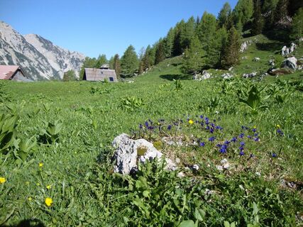 Blick auf die Matschacher Alm