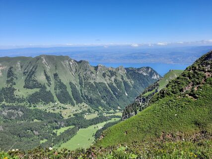 Foto von Ton Wisman entlang der Tour