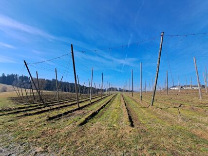 Zdjęcie z Bellou wzdłuż trasy