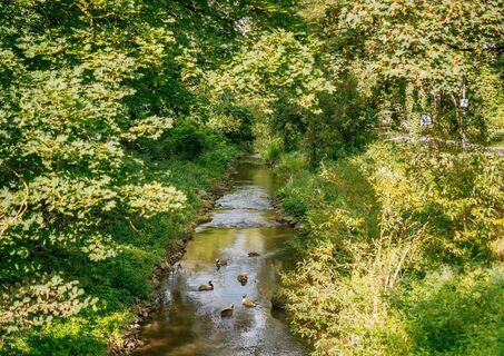 Denk-Mal-Weg am Schleifbach
