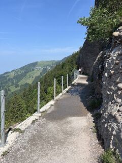 Fotografija s spletne strani reemyyse na poti