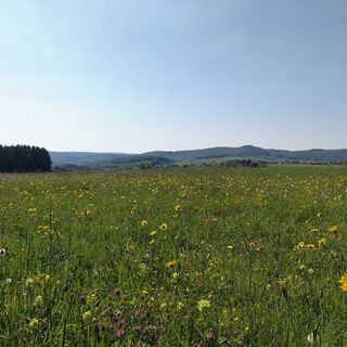 ... und Wiesen vorbei