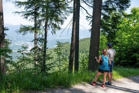 Wandern im Hochanger-Gebiet