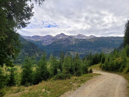 Foto von mmecki entlang der Tour