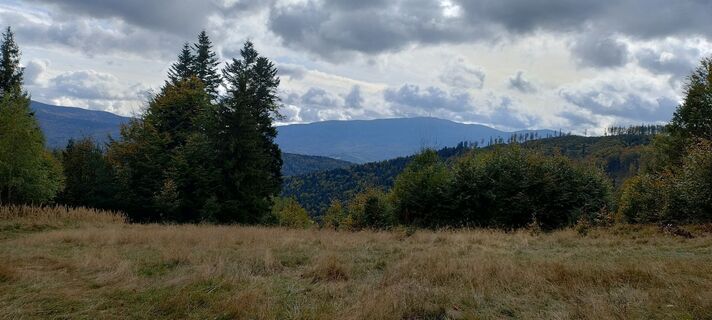 Fotografija s spletne strani Sylwiasuchy76 na poti