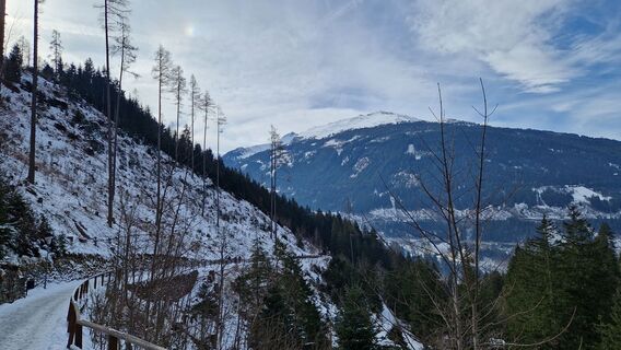 Fotografija s spletne strani MauiGra na poti