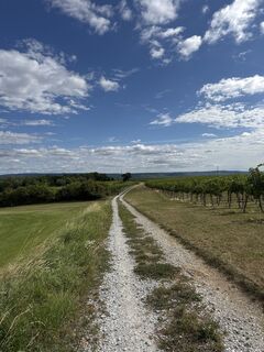 Foto de Andreas Haderer a lo largo del recorrido