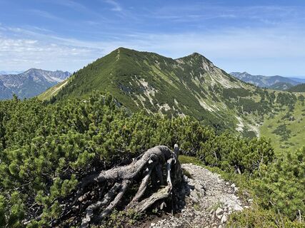 Foto von justasimpleguy entlang der Tour