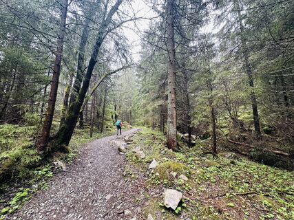 Photo de Wax Japow le long du parcours