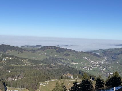 Kuva osoitteesta Andre Tatter matkan varrella