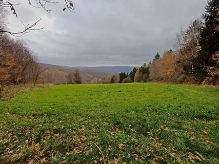 Fotografie z Patrick Haid na trase