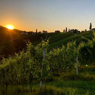 Abendstimmung im Naturpark Südsteiermark