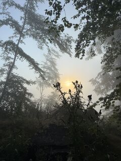 Foto von Gerti Glettler entlang der Tour