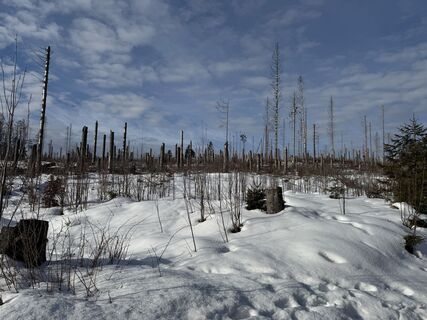Foto de Ronald Bartel a lo largo del recorrido