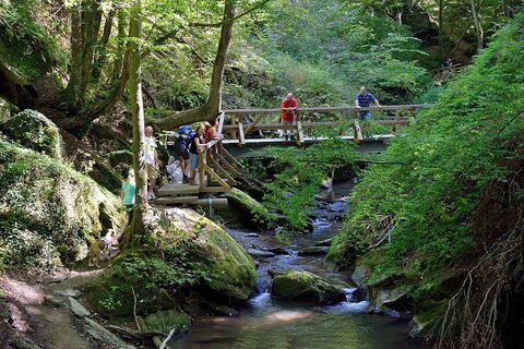 'Ehrbachklamm - Brücke am Apothekerfelsen