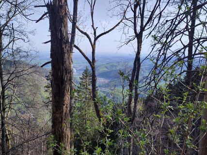 Fotografia z El_Gamso na trase