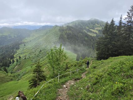 Photo de Gudrun Lippert le long du parcours