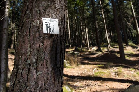 Naturerlebnispfad Schonach