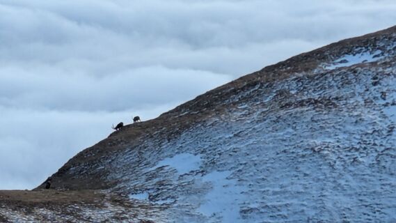 Fotografia z jakob 7 na trase