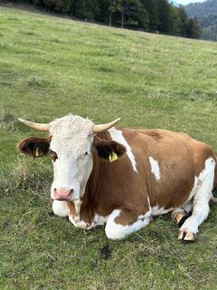 Foto von Anna Erker entlang der Tour