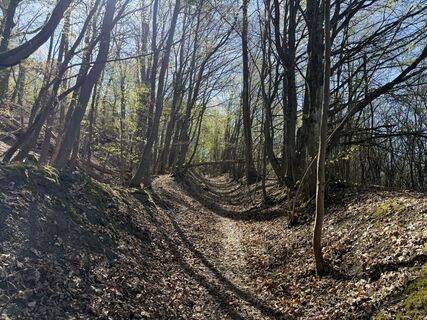 Fotografija s spletne strani Norbert Herbig na poti