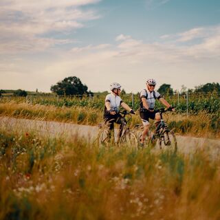 Radfahren Nordburgenland
