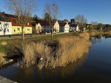 Foto de Schaali a lo largo del recorrido
