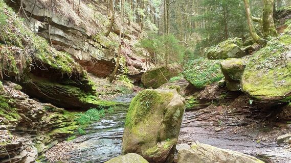 Die Wolfsschlucht liegt etwas versteckt und will entdeckt werden