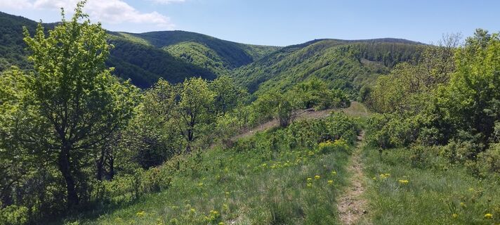 Zdjęcie z Csaba Kun wzdłuż trasy