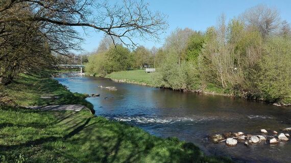 Entlang des Vöcklaufers