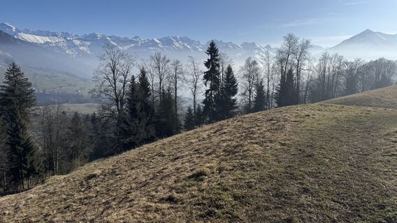 Zdjęcie z peter_oe wzdłuż trasy
