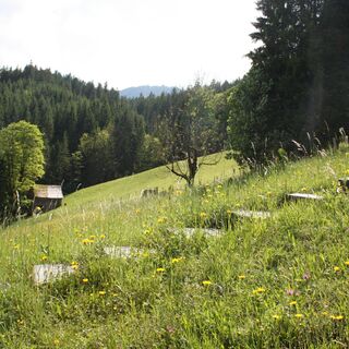 Panoramaweg