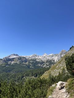 Foto von Eva Železnikar entlang der Tour