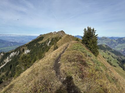 Fotografija s spletne strani Clesa na poti