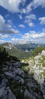 Fotografija s spletne strani Richard Seba na poti