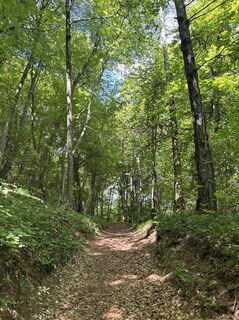 Fotó a Petra Egger honlapról a túra során