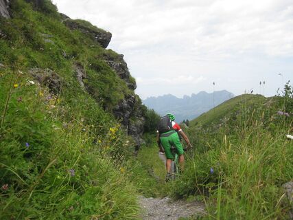 Aussicht auf die Churfirsten