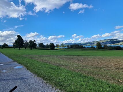 Foto de Michael Frank 7 a lo largo del recorrido