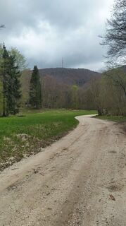 Foto von Ines Velicki entlang der Tour