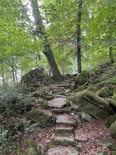 Photo de Gloop le long du parcours