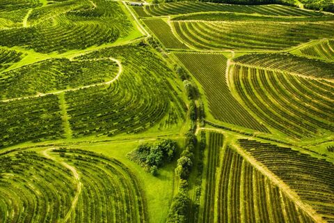 Unteres Vipava-Tal