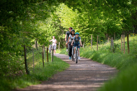 Dreisamtal Radweg