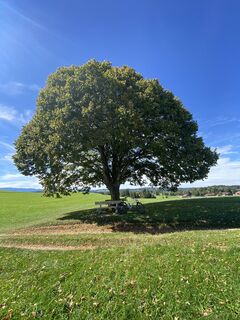 Foto von Sven Krieblin entlang der Tour