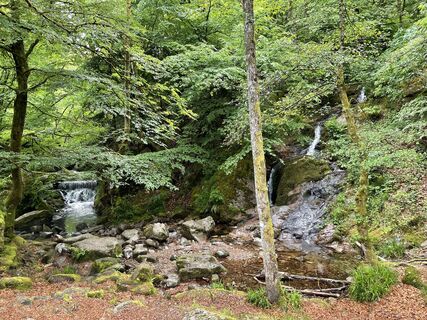 Fotografia z Francis Ebert na trase