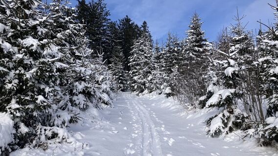 Foto von Christian Kakuska entlang der Tour