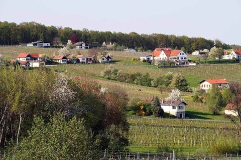 Deutsch Schützener Weinberg