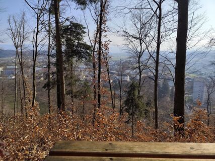 Foto von Margit Leitner 1 entlang der Tour