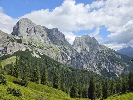 Fotografie z Poestlingberg na trase