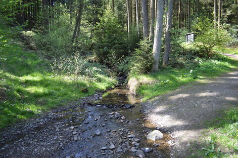 a3_familienwanderweg_oberes_nahmertal (25).JPG