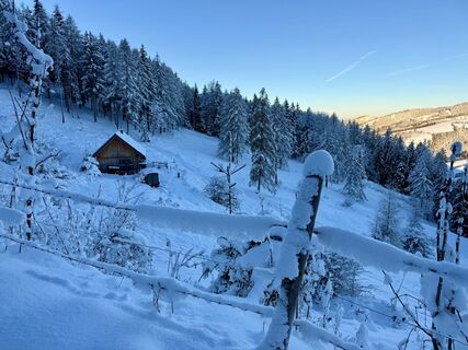 Fotografija s spletne strani Natur_erleben_dg na poti